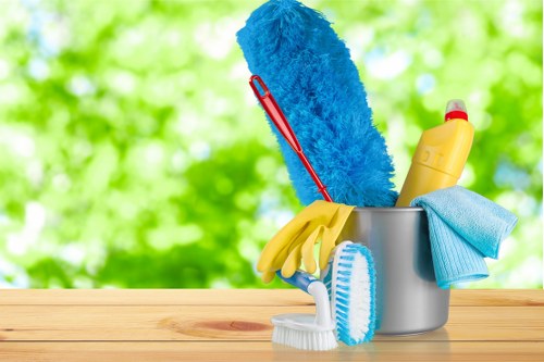 Professional one off cleaning in Canary Wharf for modern apartments
