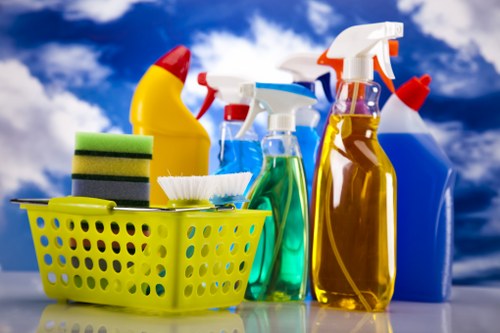 Professional domestic cleaning in a modern Canarywharf apartment