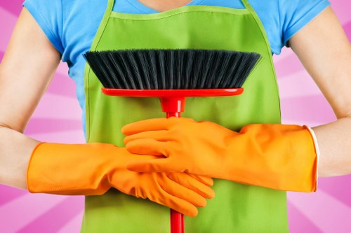 Bathroom sanitising during domestic cleaning in Canarywharf