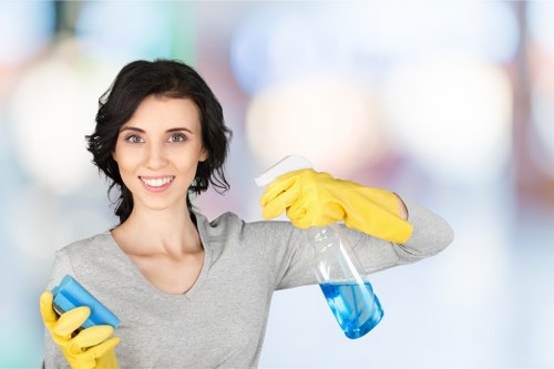 Domestic cleaning service for a stylish Canary Wharf home