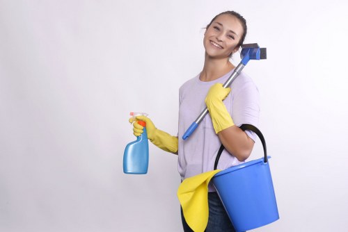 Deep cleaning a modern kitchen during tenancy cleaning in Canary Wharf