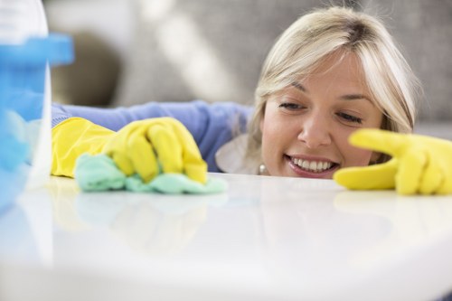 Deep cleaning service in a Canary Wharf apartment interior