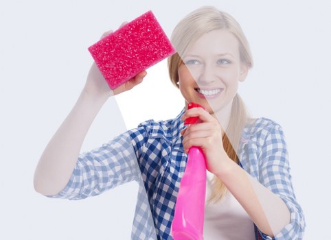 Specialist upholstery cleaning for sofas in Canarywharf