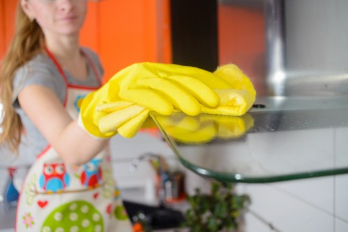 Eco-friendly house cleaning in Canarywharf home