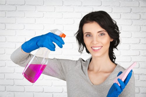 Supporting details being assessed in a carpet cleaning complaint